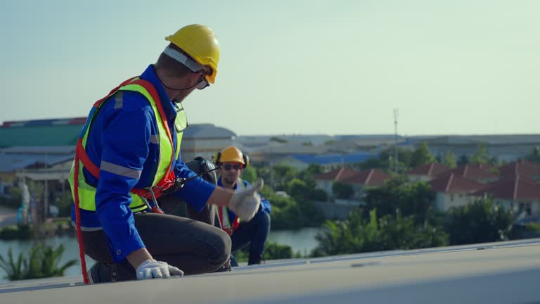 Roof Insulation in San Fernando, CA